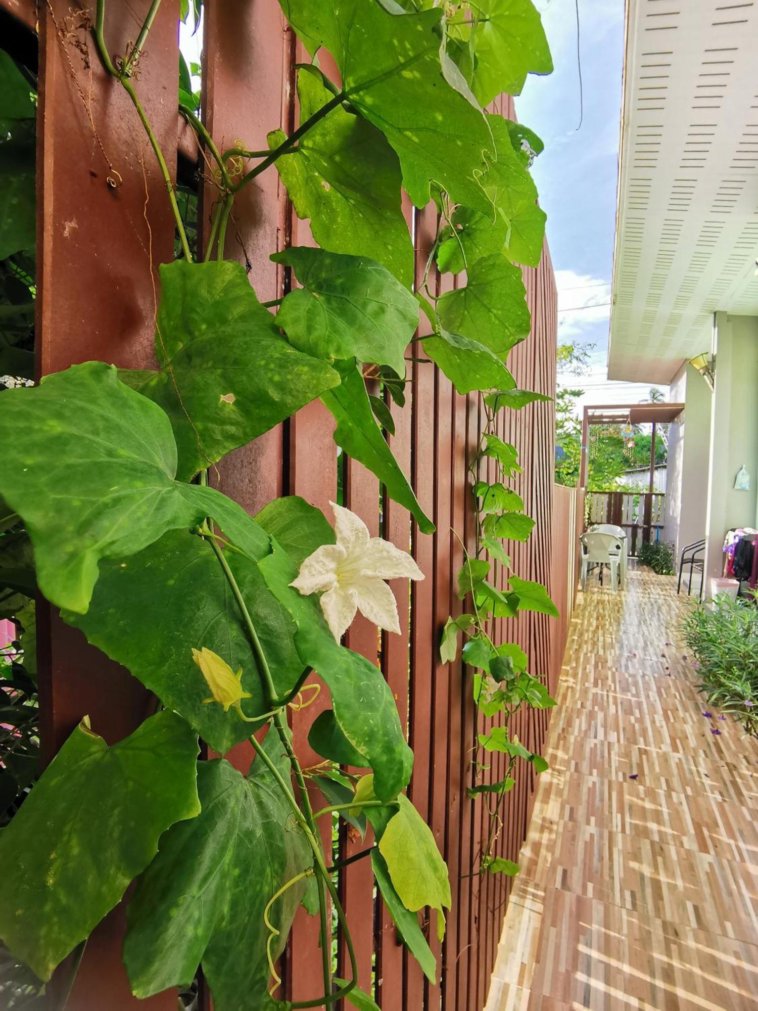 De​ Lanta Place Ko Lanta Camera foto